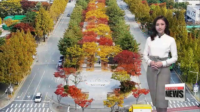 Rain tomorrow with cold wind _ 110917