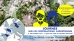 Regards croisés sur la Loire à Nantes : Retrouver le lien avec la Loire et réinventer le centre-ville