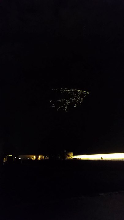 Flock of Geese