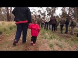 Shy Tasmanian Devils Released Into New Sanctuary