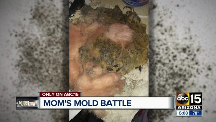 Valley mom battles landlord over mold, concerned it hurt her child