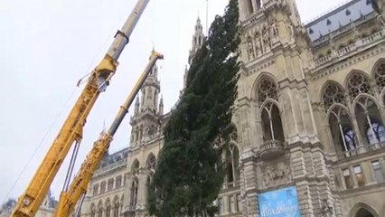 Στο πνεύμα των Χριστουγέννων...η Βιέννη