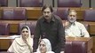 Ayesha Gulalai Trying To Interrupt During PTI MNA Arbab Amir Speech