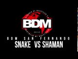 BDM San Fernando / 8vos de Final / Snake vs Shaman