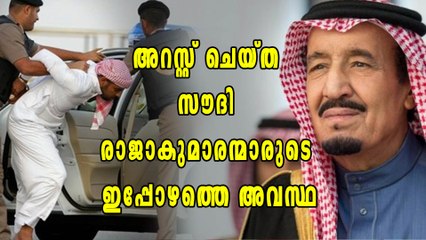ജയിലില്‍ അല്ല, സൗദിയിലെ രാജകുമാരന്മാരുടെ  ഇപ്പോള്‍ ഇവിടെയാണ്! | Oneindia Malayalam