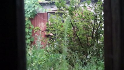 AUTORITETET UKRAINASE NJOFTOJNE PER LUFTIME TE REJA DHE VIKTIMA NE RAJONET LINDORE LAJM