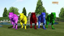 Wild animals gorilla lion Tiger Finger family 3d Animation - colors spiderelsa Finger family rhymes
