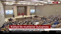 Eksik kaldırım taşının takibinden susuzluktan kuruyan ağaca kadar