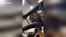 Girl climbs on top of human tower to unfurl Catalan pro-Independence flag