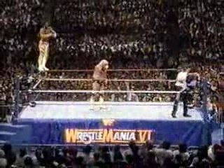 WM6 pt8