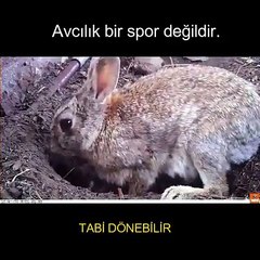 Avcılık Spor Değildir!