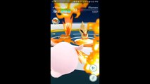 Pokémon GO Gym Battles Level 9 Gym Pinsir Poliwrath Charizard Venusaur Rhydon Chansey & more