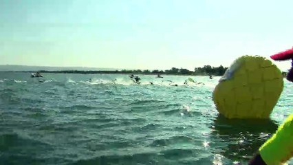 Ils ont nagé pour la sauvegarde de l'Etang de Berre