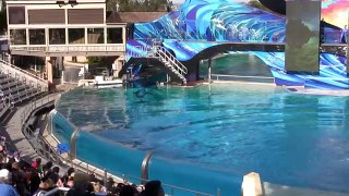 The Complete 2017 One Ocean Shamu Show at SeaWorld (voted best on YouTube)