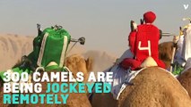 Remote-Controlled Robot Camel Jockeys Replace Kids In Desert Race