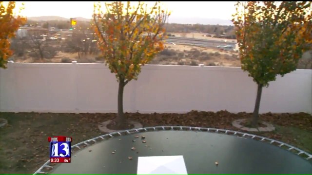 $5,000 Reward Offered in Suspected Poisoning of Family's Australian Shepherd