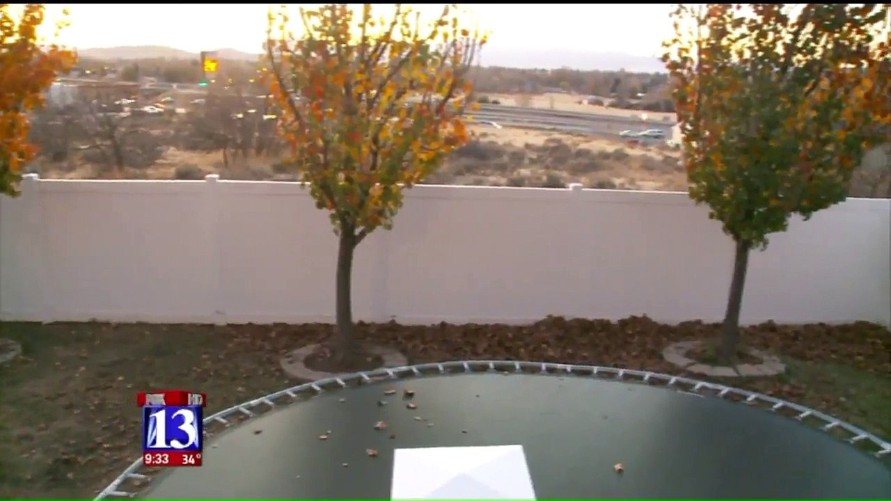 $5,000 Reward Offered in Suspected Poisoning of Family's Australian Shepherd