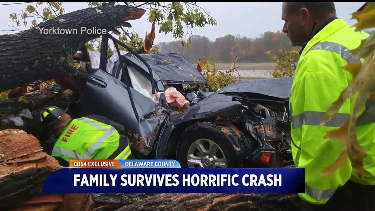 Family Survives Horrific Crash After Tree Falls on Their SUV