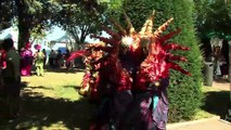 Carnaval vénitien à Martigues deux jours de magie avec Les masqués vénitiens de France (vidéo)
