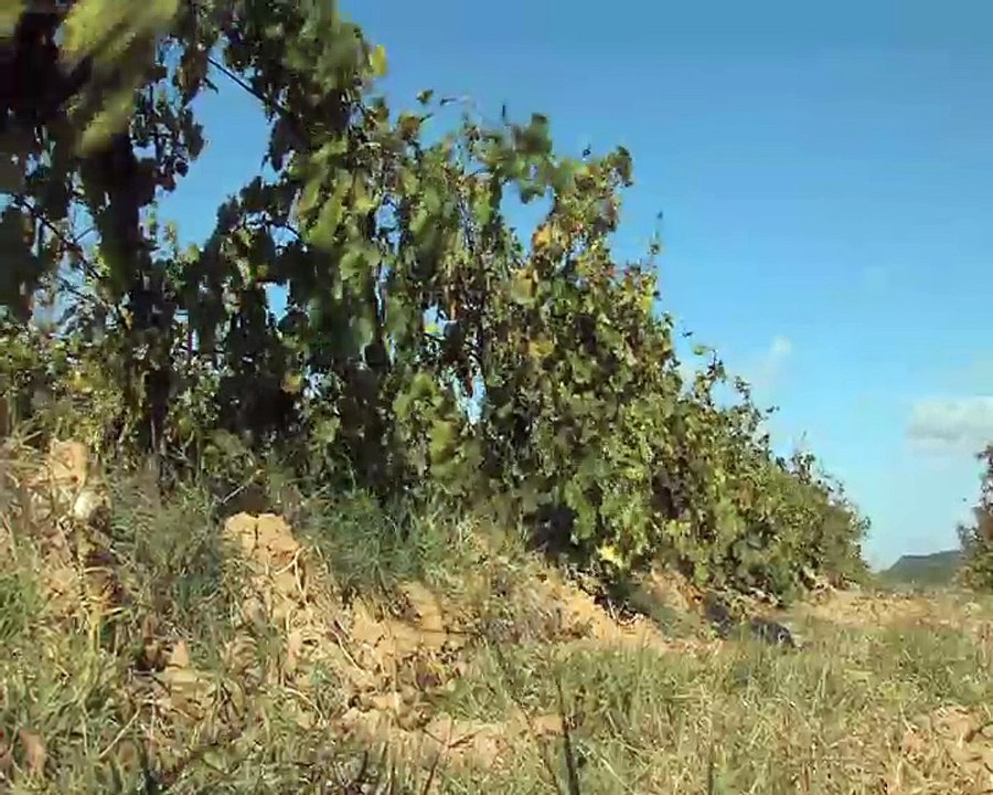 Au grès du vent, des images de Martigues et Carro.