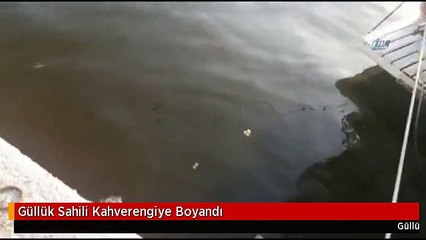 Güllük Sahili Kahverengiye Boyandı