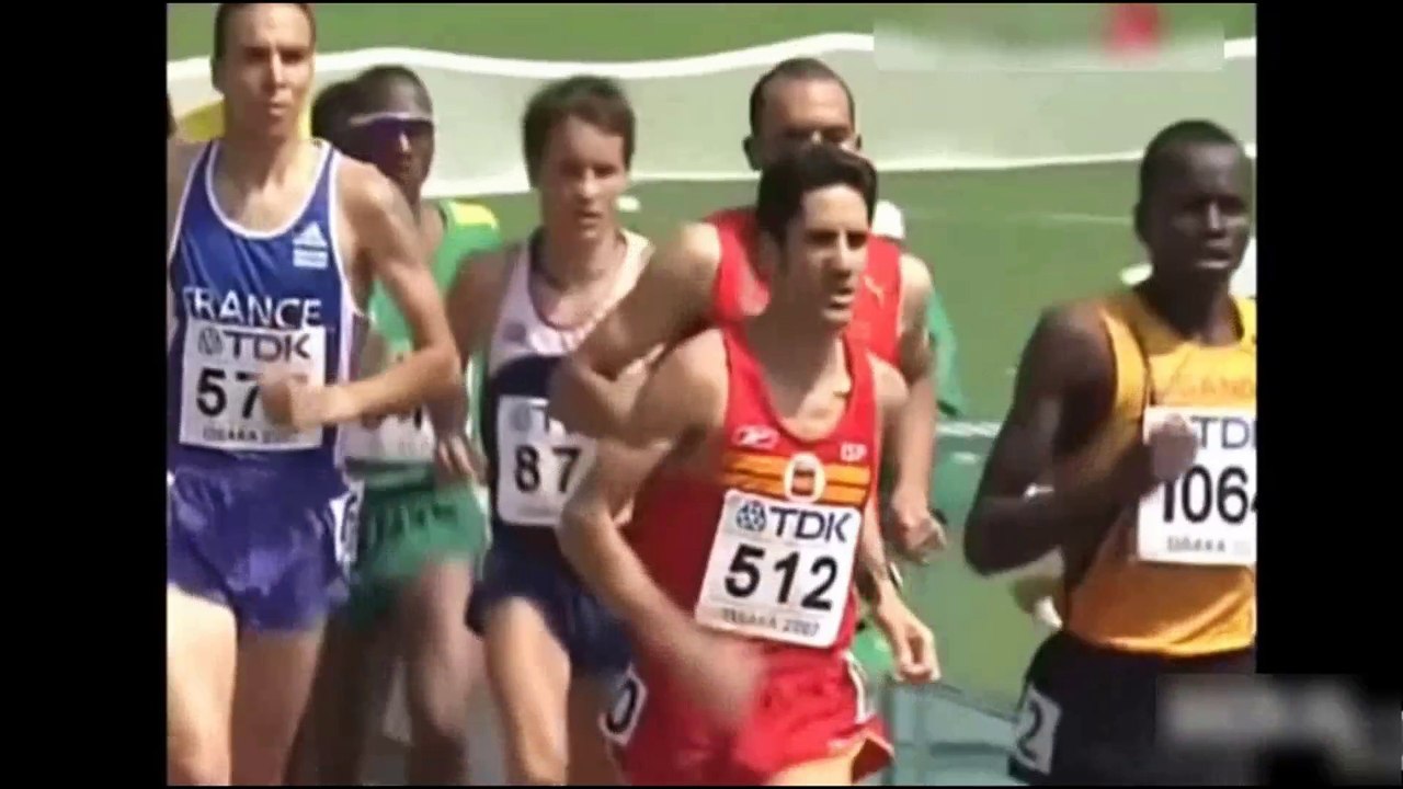 20 SPORT FAILS COMPILATION | Daily Funny | Funny Video | Funny Clip | Funny Animals