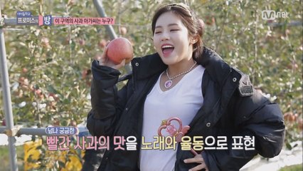 [3회]빠빠빠 빨간 맛♬ (프로미스 사과아가씨) 궁금해 허니↗♪