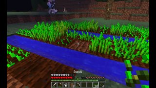 Minecraft Vanilla Adventure 8 - Building the Farm! with Cybernova