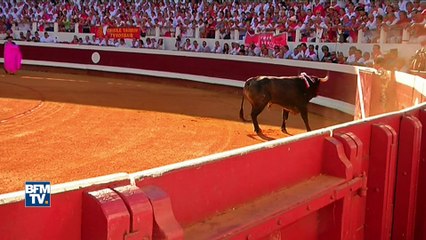 La SPA lance une guerre judiciaire contre la corrida