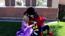 Princess Rapunzel Turns Into Superheroes! w/ Spiderman, The Witch, Venom & Chase