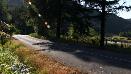 Porsche Panamera 4 E-Hybrid Sport Turismo in Pure White Driving Video