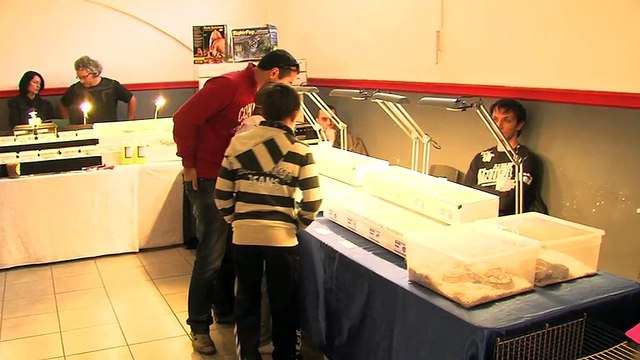 Le 1 er Salon Reptile du département, c'est à Martigues ce week-end !