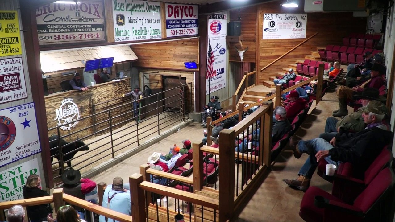 Clinton steht zu donald trump