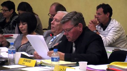 La proposition d'avis défavorable argumentée par René Raimondi.