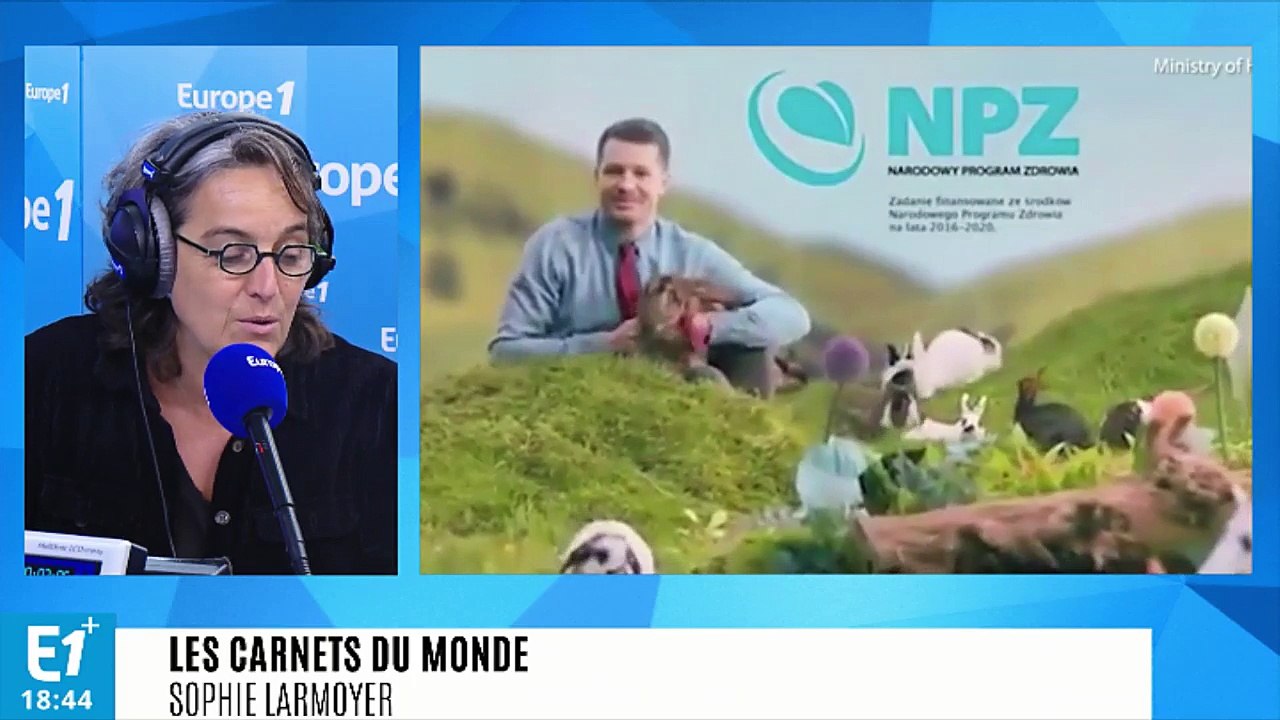Pologne : une vidéo de lapins pour inciter à faire… des enfants