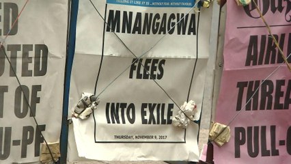 Zimbabwe opposition: Mugabe ‘plans to catapult his wife to VP’