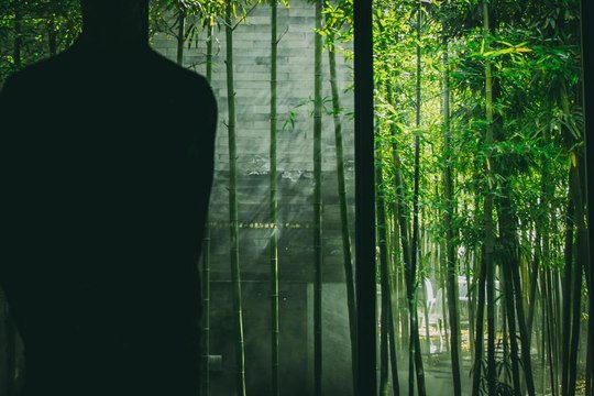 Veggie Life in Beijing: King's Joy is Leading the Way