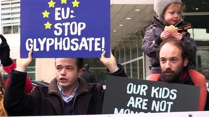 Fresh EU bid fails to renew controversial weedkiller