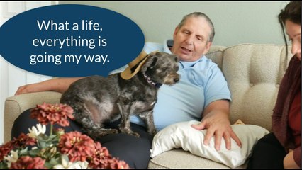 Happy Pup If You Can't Beat Them