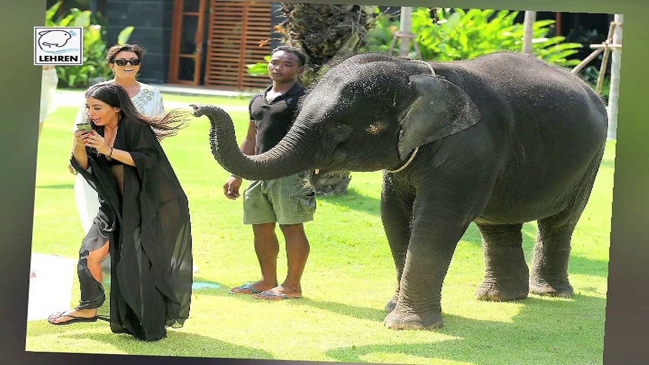 Kim Kardashian Hugs A Koala