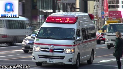 Ambulance Tokyo Fire Department (collection)