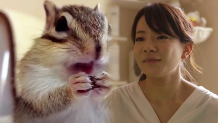 Bikke The Chip, Instagram's Famous Chipmunk Celebrity
