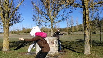 CABALLOS LOCOS BAILANDO