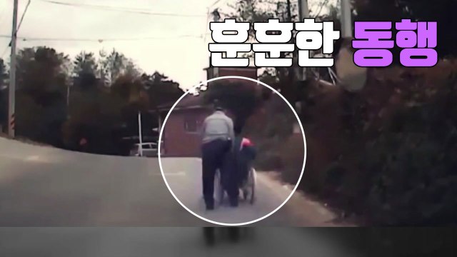 [자막뉴스] 경찰과 지체장애인의 아름다운 '동행' / YTN