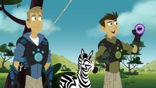 Wild Kratts - Zig-Zagged (Full Episode)
