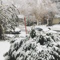 Ellensburg Residents Wake Up to Fresh Snowfall, Slick Conditions