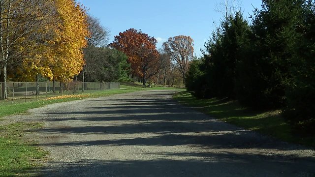 Man Accused of Trying to Touch Strangers' Belly Buttons for 10 Years