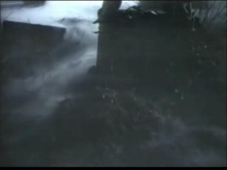 Michael Jackson clip remi