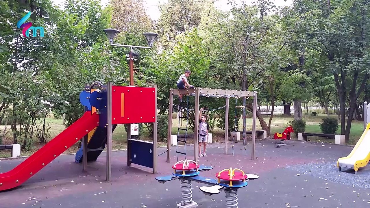 291