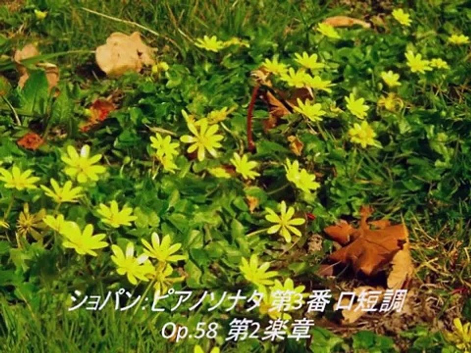 クラシック名曲 ピアノ好きのためのショパンメドレー 33曲 (作業用音楽)